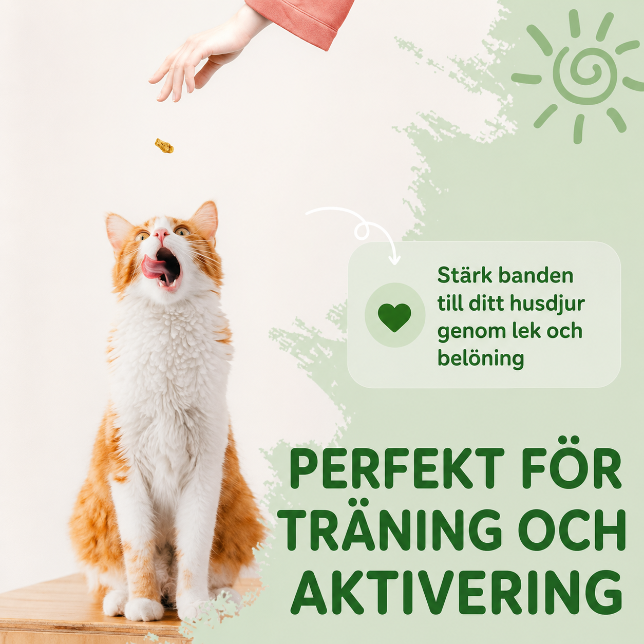 HappyPets Kattgodis