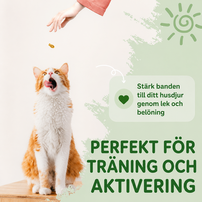 HappyPets Kattgodis
